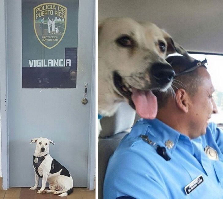 Policia - Gorgi - perrito - Foto via Facebook 2 - febrero 26 2021